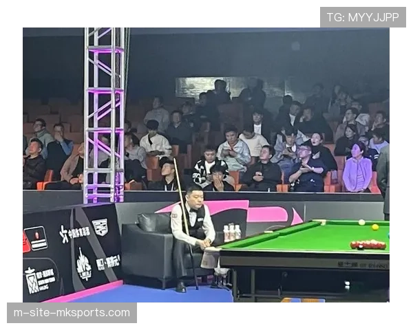斯诺克运动在中国受欢迎 国锦赛上座率理想