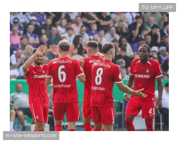 弗赖堡主场胜率60% 欧洲公园球场成重要取分阵地 弗赖堡主场胜率60% 欧洲公园球场成重要取分阵地